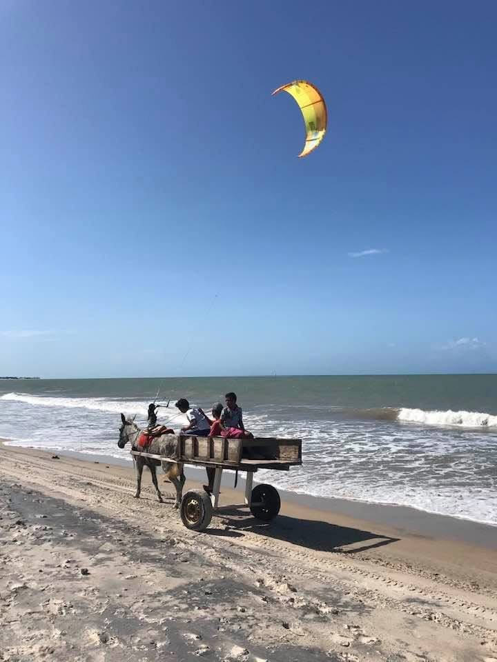 Plage de Galinhos et ânes